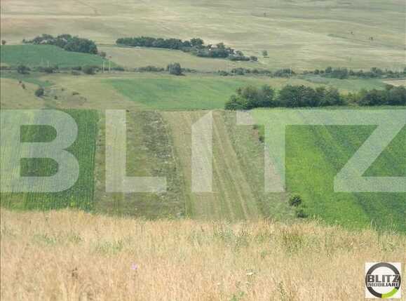 Teren de vânzare Exterior Est - 22759TV | BLITZ Cluj-Napoca | Poza3