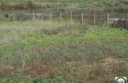 Vanzare teren, 1348 mp, Extras de Carte Funciara, front 13 ml, zona linistita