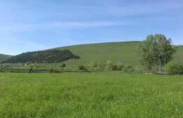 Teren in Gilau, pentru constructie casa, zona linistita!!!