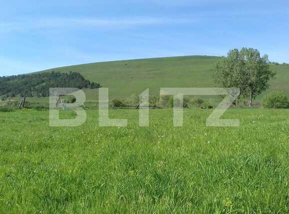 Teren de vânzare Exterior Vest - 22769TV | BLITZ Cluj-Napoca | Poza3