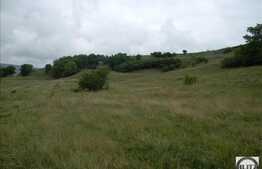 Teren de vanzare in Campenesti, 5800 mp, parcelabil