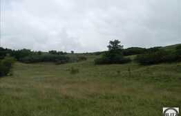 Teren de vanzare in Campenesti, 5800 mp, parcelabil