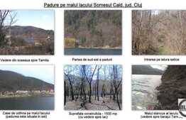 Vanzare 10.000 mp, front de 100 ml, ideal pentru parc de agrement, zona Tarnita