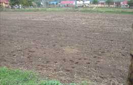 Teren de vanzare in Gilau, cu suprafata de 700 mp