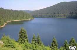 Liniste, natura si relaxare. Teren in zona Belis