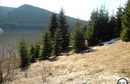 Liniste, natura si relaxare. Teren in zona Belis