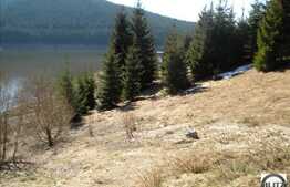 Liniste, natura si relaxare. Teren in zona Belis