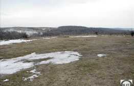 Teren 15000 mp intre Faget si Salicea