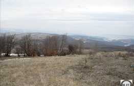 Teren 15000 mp intre Faget si Salicea