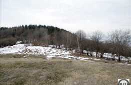 Teren 15000 mp intre Faget si Salicea