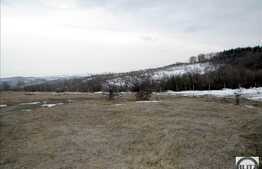 Teren 15000 mp intre Faget si Salicea