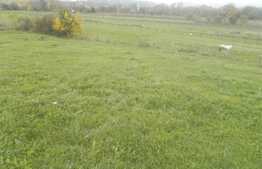 De vanzare teren in Gilau de 2400 mp, front de 32 ml! Toate utilitatile!