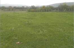 De vanzare teren in Gilau de 2400 mp, front de 32 ml! Toate utilitatile!