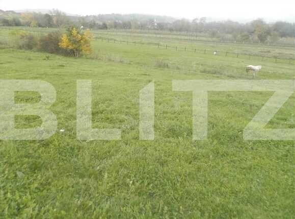 Teren de vânzare Exterior Vest - 22779TV | BLITZ Cluj-Napoca | Poza4