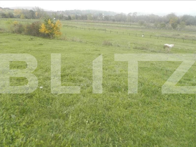 Teren de vânzare Exterior Vest - 22779TV | BLITZ Cluj-Napoca | Poza4