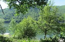 Vanzare teren, 1060 mp, iesire la lac, Tarnita!