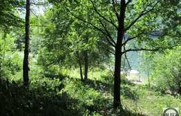 Vanzare teren, 1060 mp, iesire la lac, Tarnita!