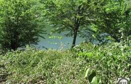 Vanzare teren, 1060 mp, iesire la lac, Tarnita!