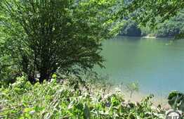 Vanzare teren, 1060 mp, iesire la lac, Tarnita!