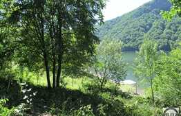 Vanzare teren, 1060 mp, iesire la lac, Tarnita!