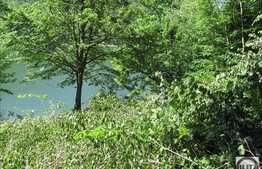 Vanzare teren, 1060 mp, iesire la lac, Tarnita!