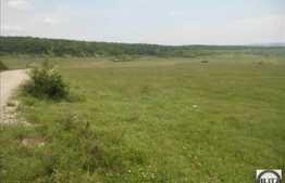 Vanzare teren agricol compact, 25000 mp, zona linistita