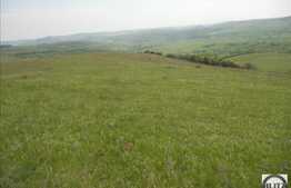 Vanzare teren agricol compact, 25000 mp, zona linistita