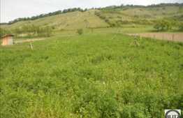 Vanzare teren agricol compact, 25000 mp, zona linistita