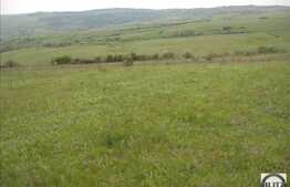 Vanzare teren agricol compact, 25000 mp, zona linistita