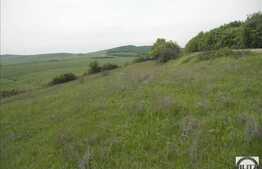 Vanzare teren agricol compact, 25000 mp, zona linistita