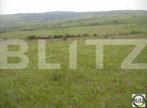 Teren de vânzare Exterior Est - 22786TV | BLITZ Cluj-Napoca | Poza4