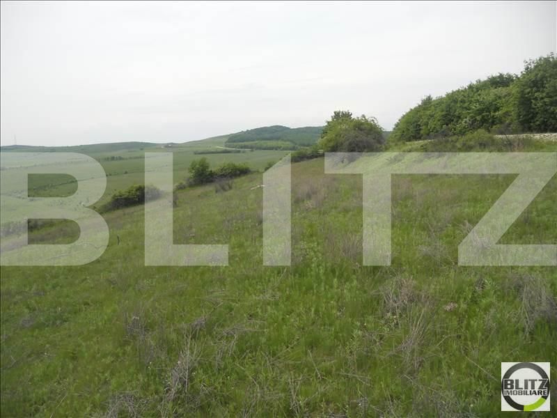 Teren de vânzare Exterior Est - 22786TV | BLITZ Cluj-Napoca | Poza2