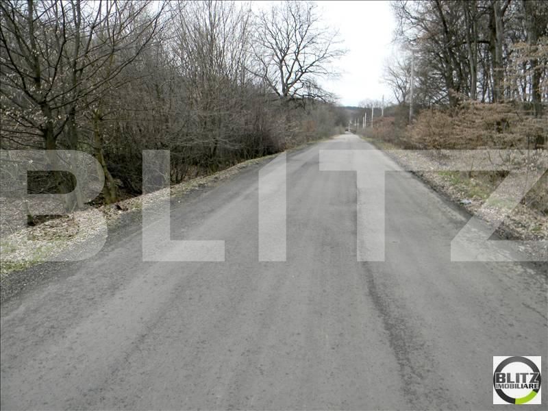 Teren de vânzare Făget - 22788TV | BLITZ Cluj-Napoca | Poza2