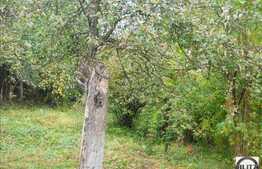 In Andrei Muresanu pentru casa individuala!