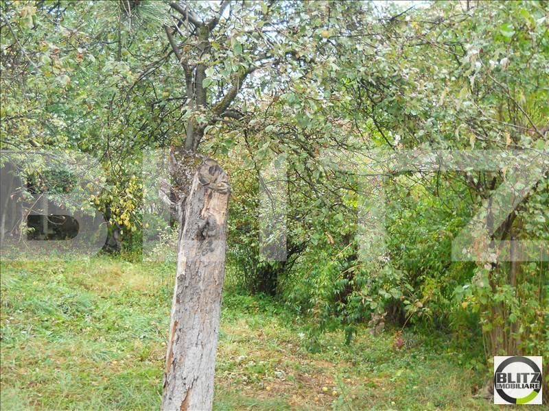 Teren de vânzare Andrei Mureşanu - 22790TV | BLITZ Cluj-Napoca | Poza3