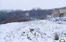 Teren de vanzare in zona Faget, 1925 mp si front de 36 ml