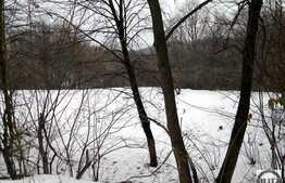 Teren in mijlocul padurii 4000 mp acces usor