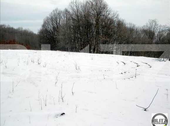 Teren de vânzare Făget - 22794TV | BLITZ Cluj-Napoca | Poza1