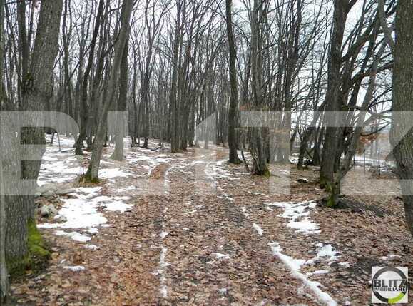 Teren de vânzare Făget - 22794TV | BLITZ Cluj-Napoca | Poza4