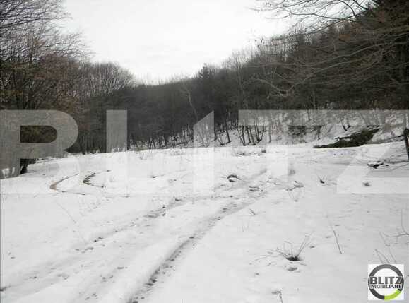 Teren de vânzare Făget - 22794TV | BLITZ Cluj-Napoca | Poza2