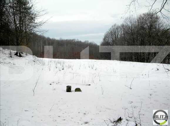 Teren de vânzare Făget - 22794TV | BLITZ Cluj-Napoca | Poza3