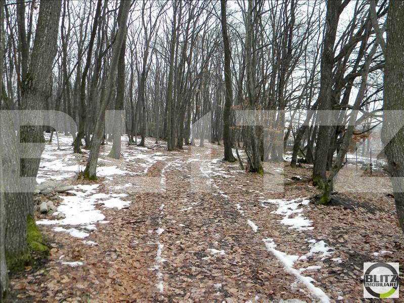 Teren de vânzare Făget - 22794TV | BLITZ Cluj-Napoca | Poza4