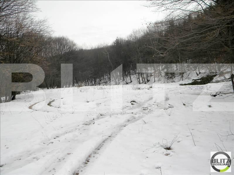 Teren de vânzare Făget - 22794TV | BLITZ Cluj-Napoca | Poza2