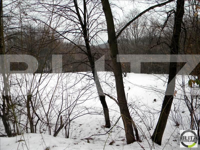 Teren de vânzare Făget - 22794TV | BLITZ Cluj-Napoca | Poza5