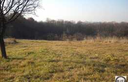 Teren cu 2860 mp in zona Faget!