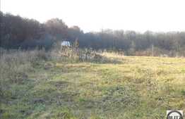 Teren cu 2860 mp in zona Faget!