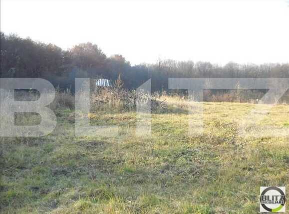 Teren de vânzare Făget - 22795TV | BLITZ Cluj-Napoca | Poza4