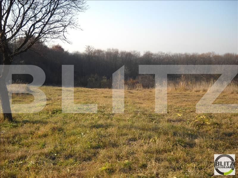 Teren de vânzare Făget - 22795TV | BLITZ Cluj-Napoca | Poza3