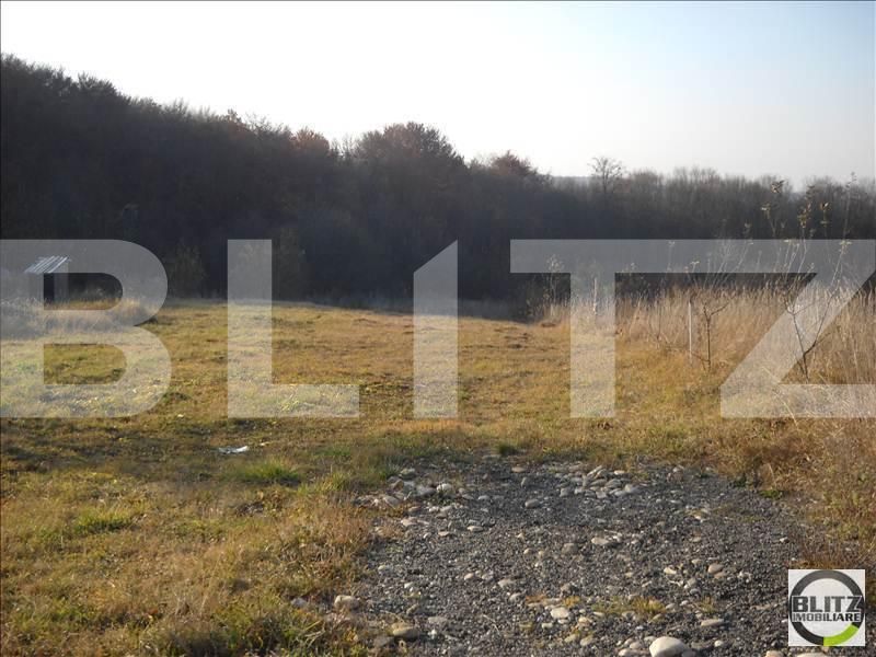 Teren de vânzare Făget - 22795TV | BLITZ Cluj-Napoca | Poza2