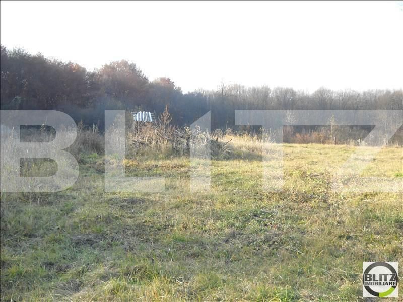 Teren de vânzare Făget - 22795TV | BLITZ Cluj-Napoca | Poza4